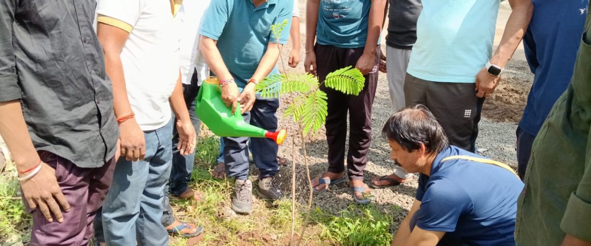 7d9ec6cf-d3bd-46e5-b0c1-8f3cf23dce00 - Copy